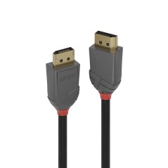 Lindy 05M Displayport 1.4 Cable - High-Speed Connectivity | 36480